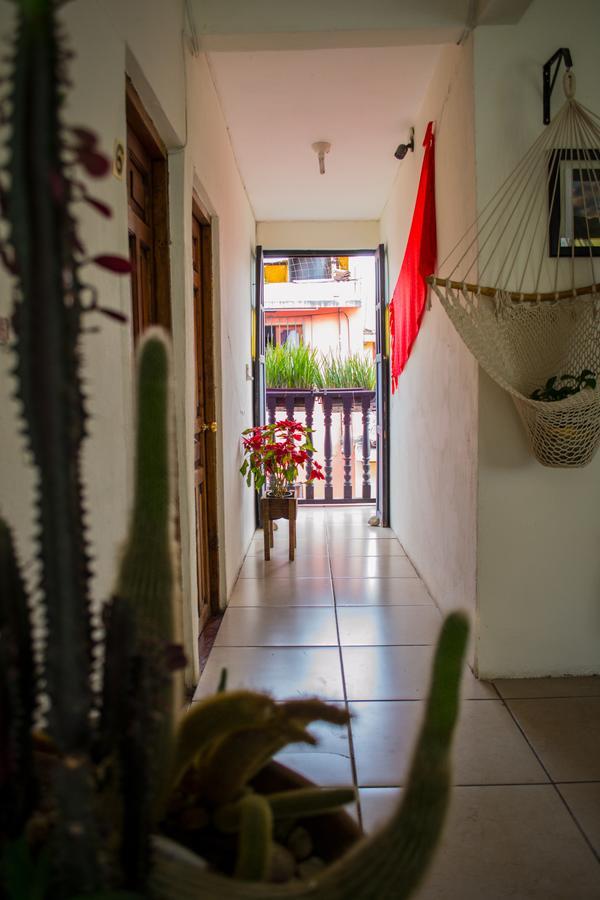 Hotel Casa Mia San Cristóbal de Las Casas Extérieur photo